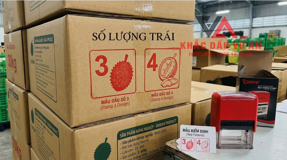 CON DAU SO DONG THUNG GIAY